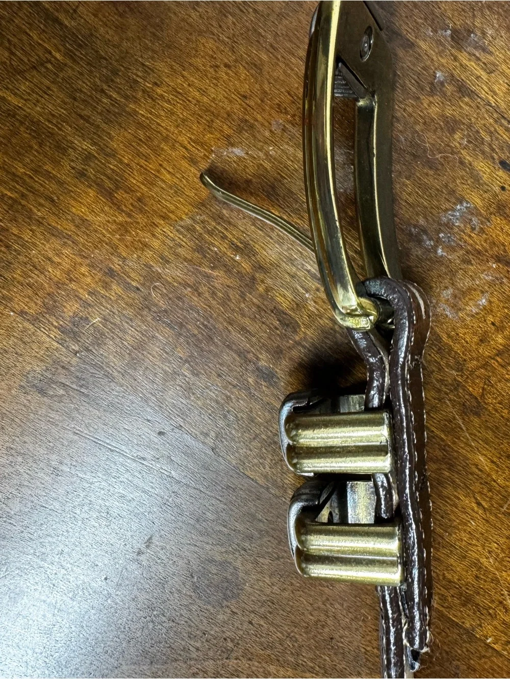 Brighton Brown Lizard-Embossed Leather Belt with Brass Buckle